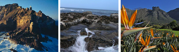 Cape Point