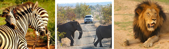 Kruger